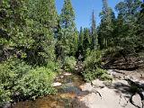 Calaveras Big Tree SP 13 : Vermont Canoe Spring